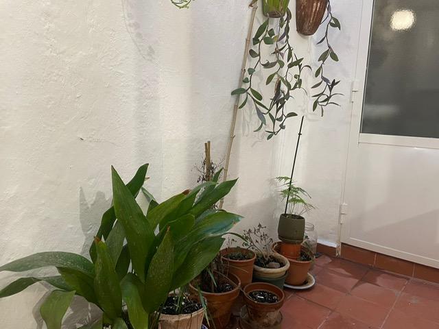 Imagen 22 Inmueble 290658 - Casa Pareada en venta en Ciutadella De Menorca / Casco Antiguo Ciudadela