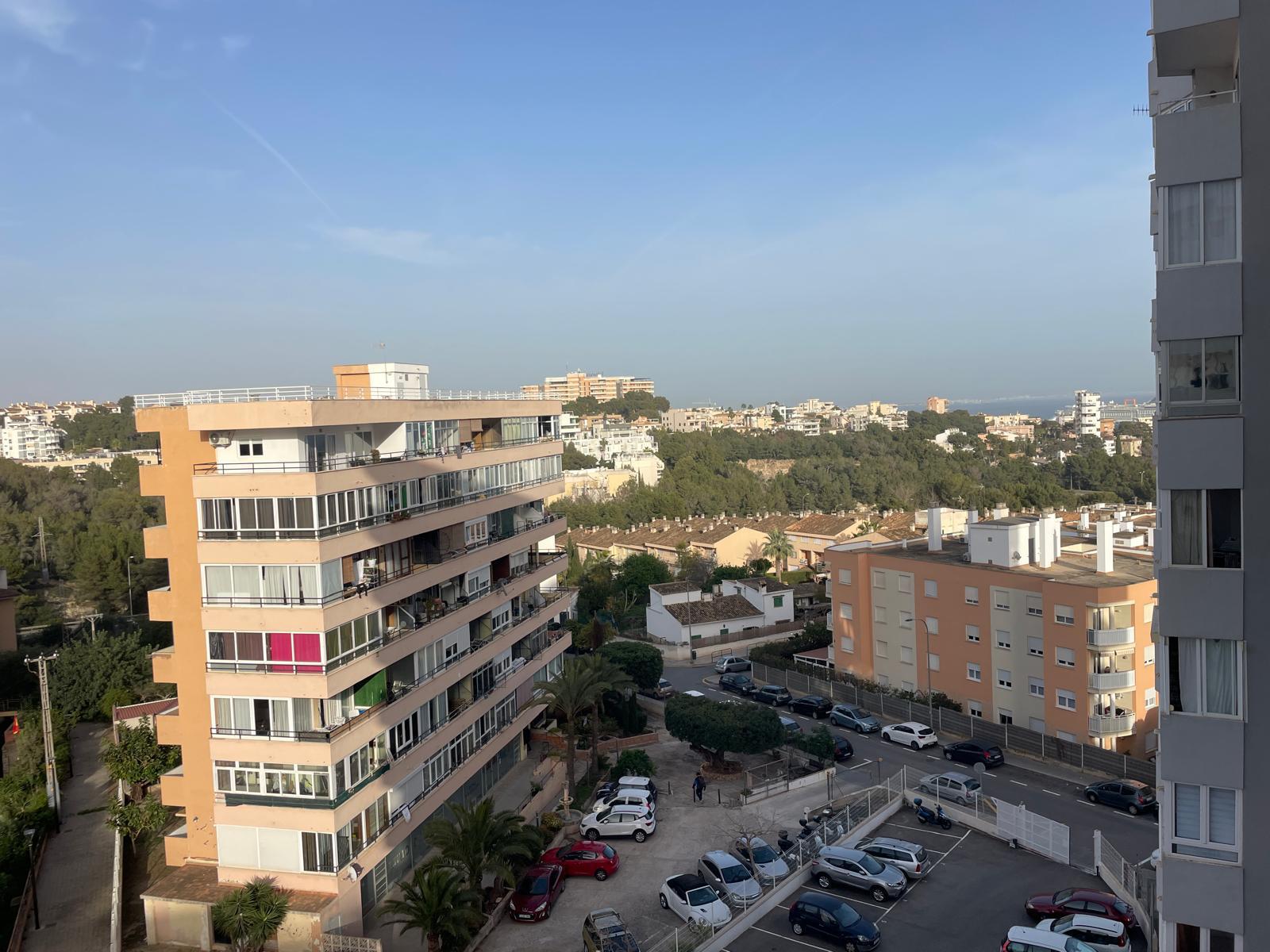 Imagen 22 Estudio en venta en Palma / Estudio reformado. Alto con ascensor.  Imagen 22 Estudio en venta en Palma / Estudio reformado. Alto con ascensor.