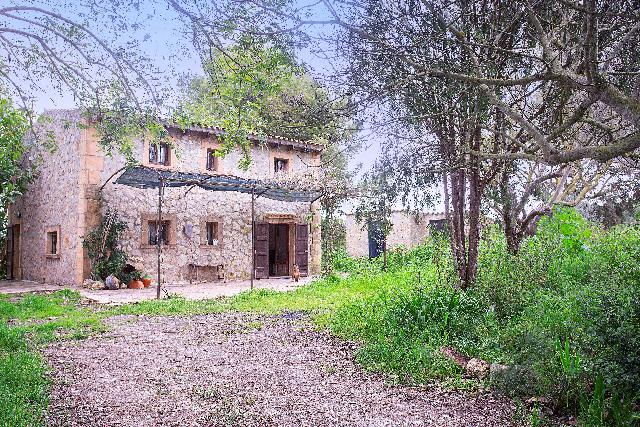 Imagen 5 Inmueble 294749 - Casa Rústica en venta en Manacor / Casa de campo rústica  parcela  en Son Talent  Manacor 