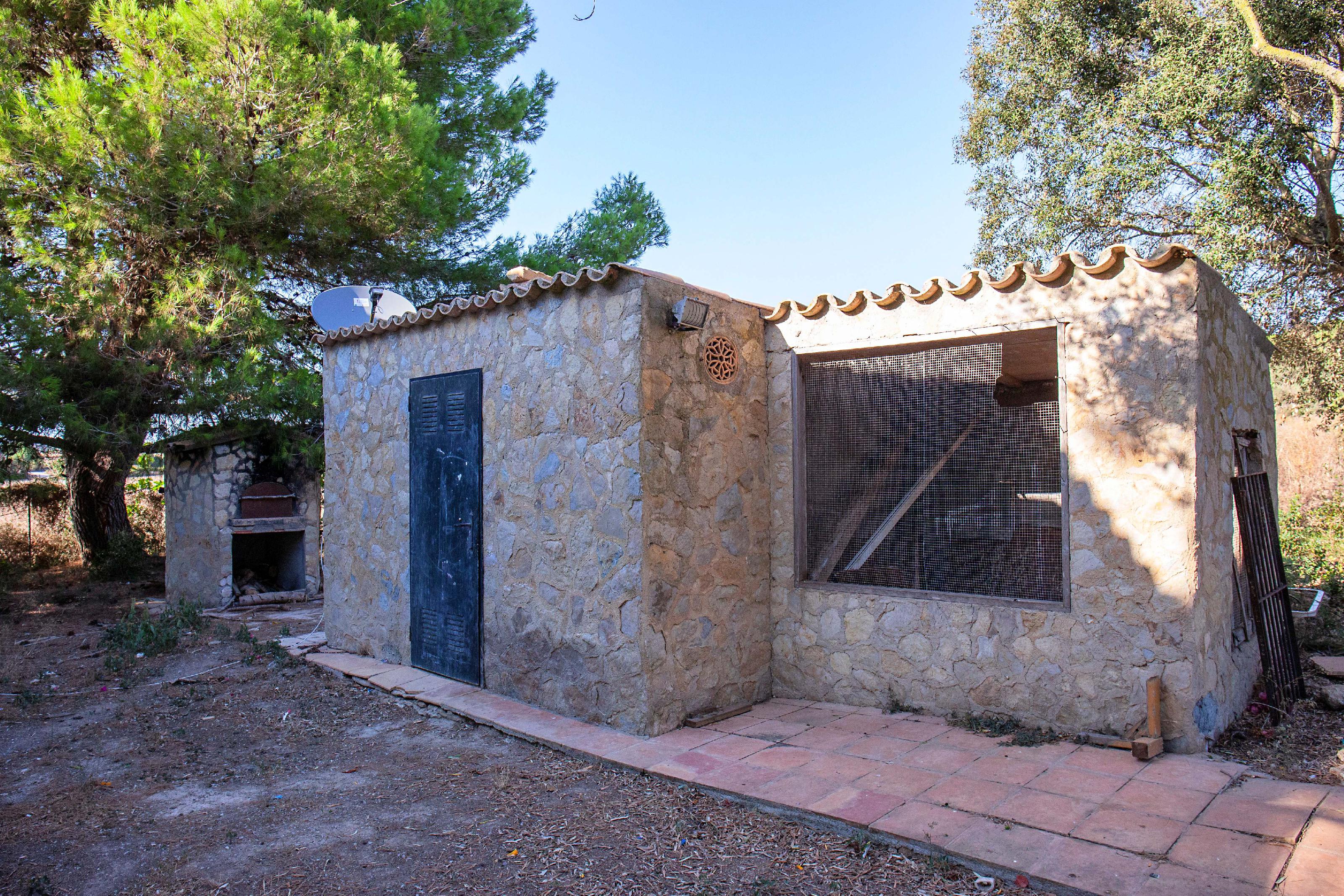 Imagen 7 Casa Rústica en venta en Manacor / Casa de campo rústica  parcela  en Son Talent  Manacor 