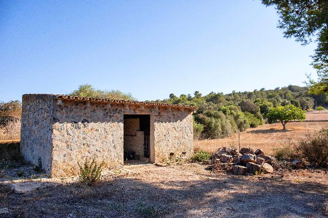 Imagen 9 Inmueble 294749 - Casa Rústica en venta en Manacor / Casa de campo rústica  parcela  en Son Talent  Manacor 