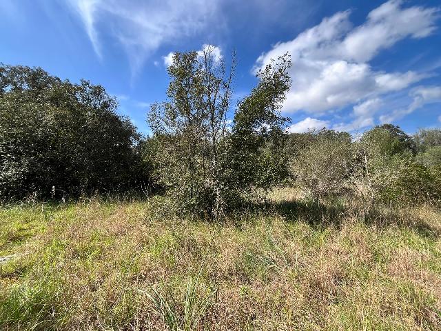 Imagen 3 Inmueble 295604 - Solar Rústico en venta en Pollença / Ubicado entre Bodegas Xaloc y el Golf de Pollença