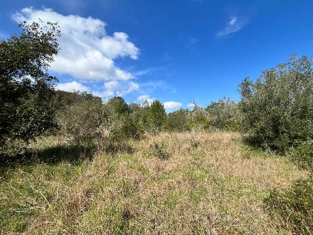 Imagen 1 Inmueble 295604 - Solar Rústico en venta en Pollença / Ubicado entre Bodegas Xaloc y el Golf de Pollença