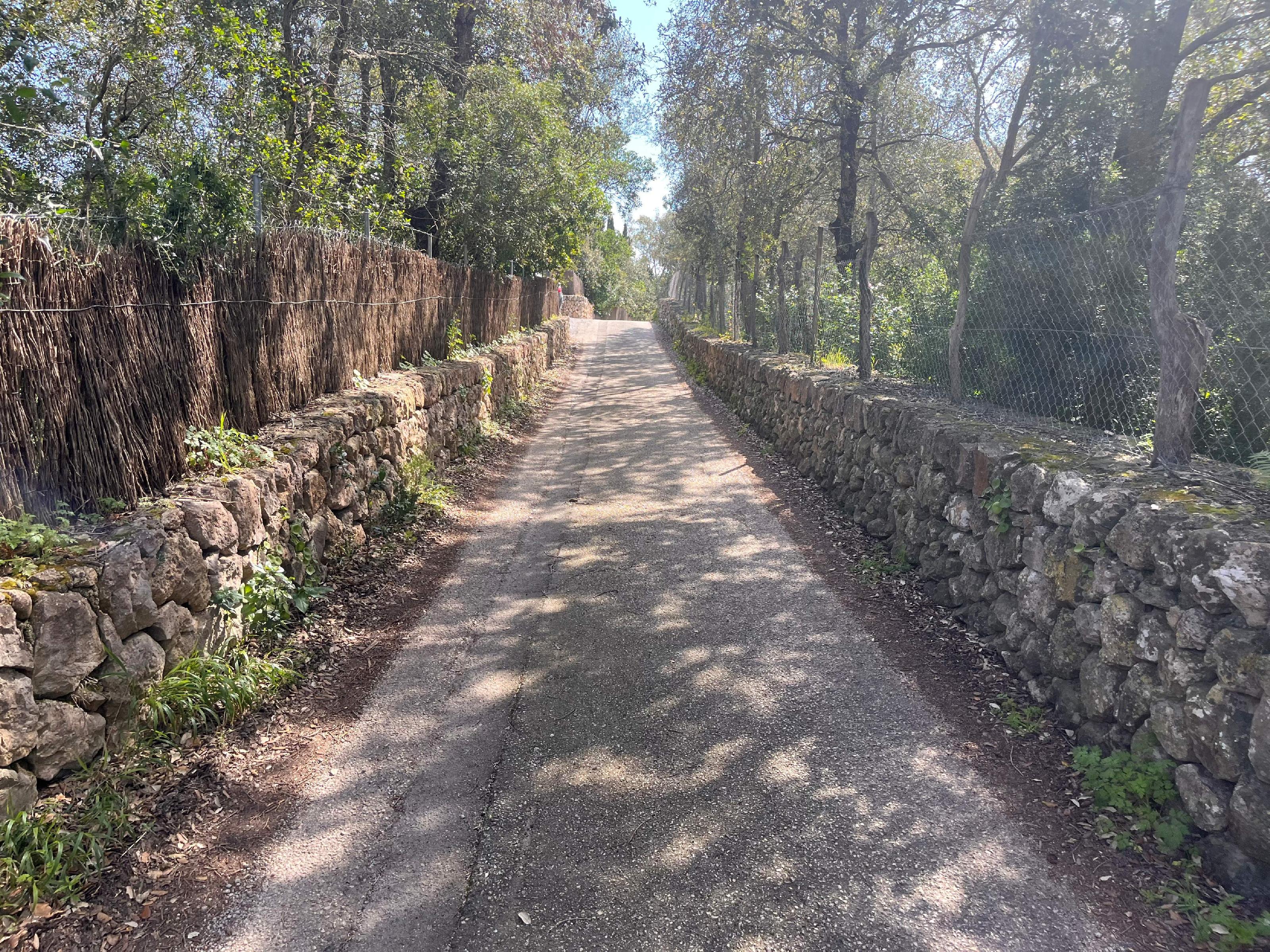 Imagen 4 Solar Rústico en venta en Pollença / Ubicado entre Bodegas Xaloc y el Golf de Pollença