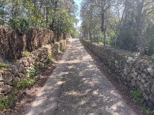 Imagen 4 Inmueble 295604 - Solar Rústico en venta en Pollença / Ubicado entre Bodegas Xaloc y el Golf de Pollença