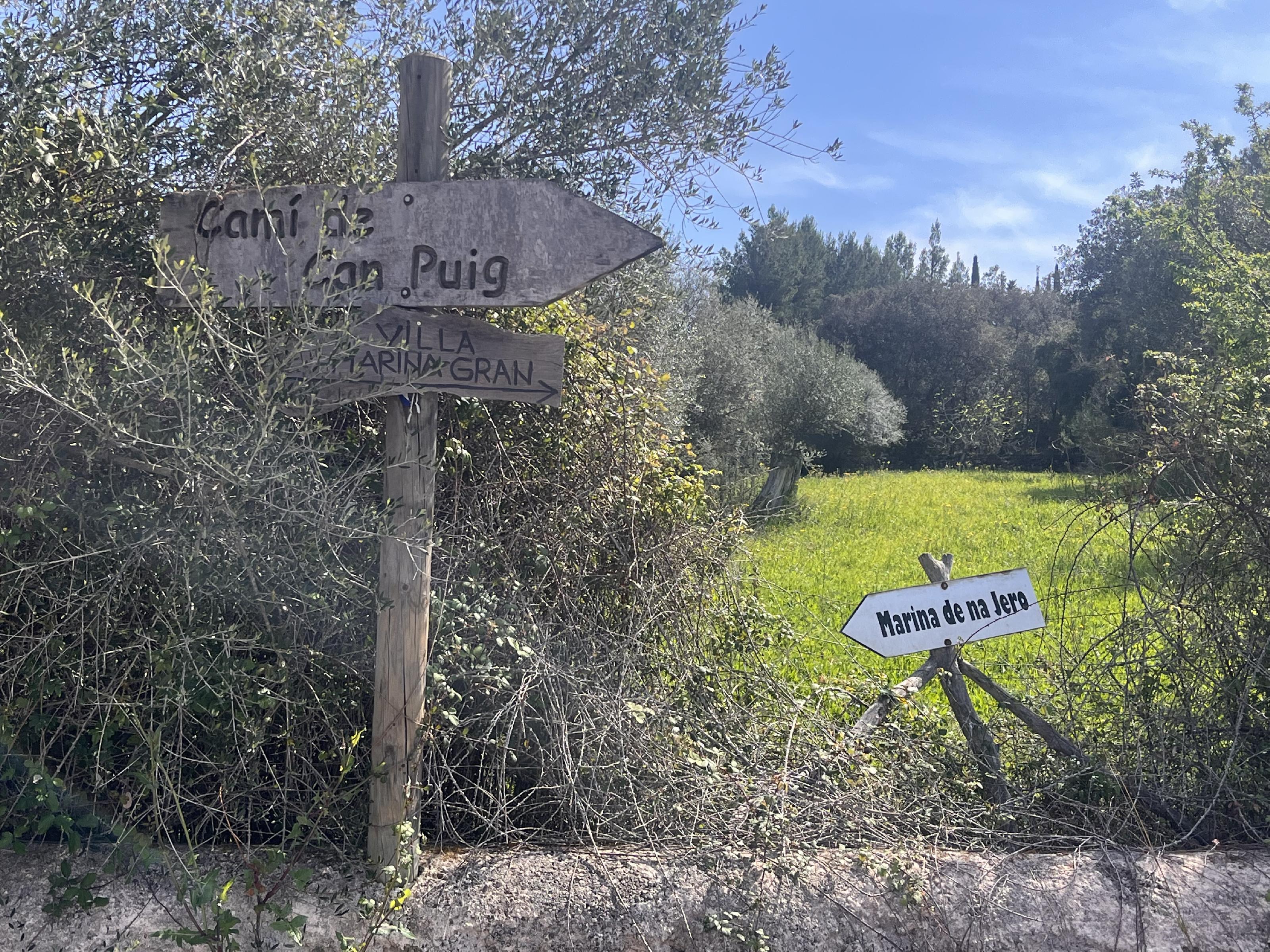 Imagen 6 Solar Rústico en venta en Pollença / Ubicado entre Bodegas Xaloc y el Golf de Pollença