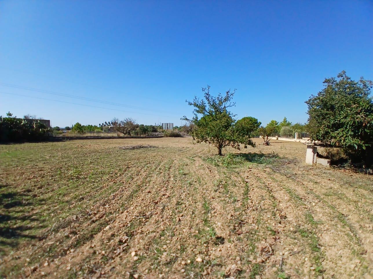 Imagen 13 Casa Rústica en venta en Inca / Casa rústica en Inca