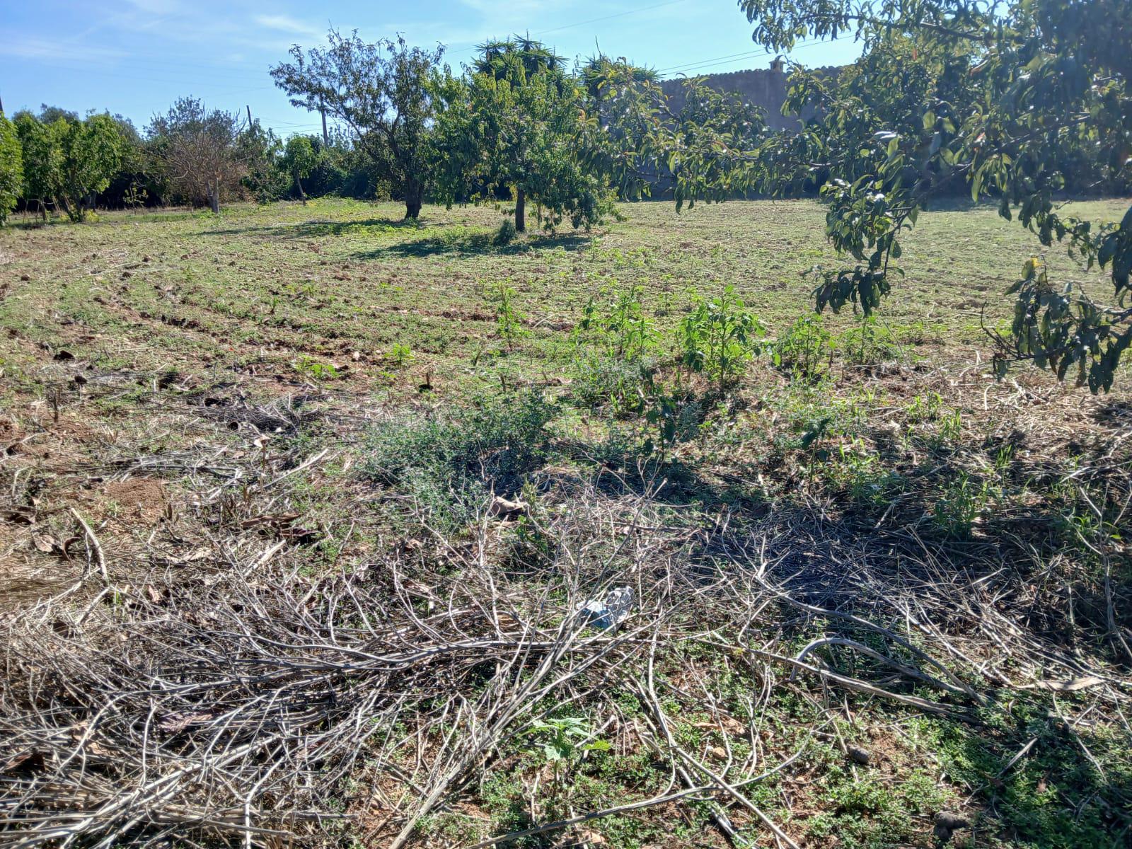 Imagen 14 Casa Rústica en venta en Inca / Casa rústica en Inca