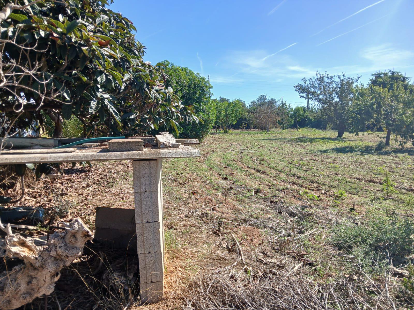 Imagen 15 Casa Rústica en venta en Inca / Casa rústica en Inca