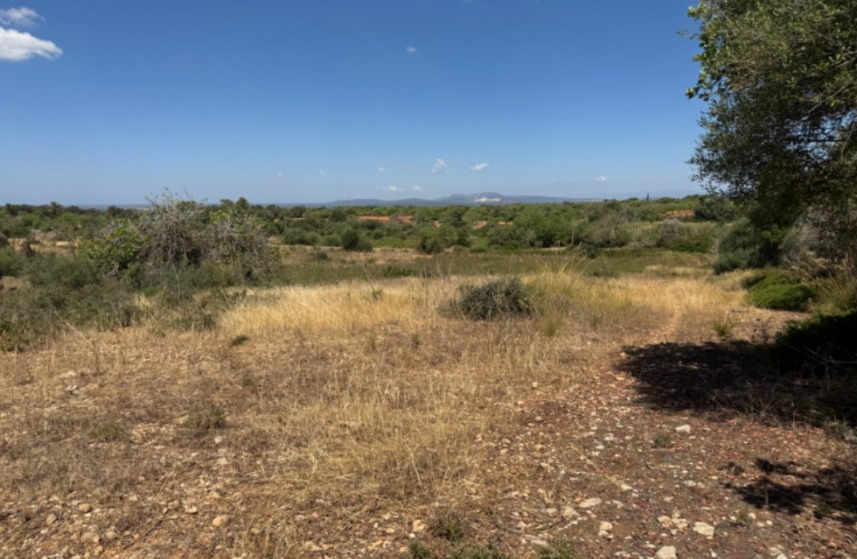 Imagen 5 Solar Rústico en venta en Felanitx / Terreno con proyecto básico para unifamiliar aisalada.