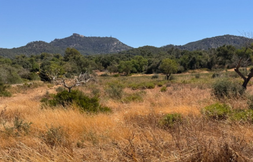 Imagen 1 Solar Rústico en venta en Felanitx / Terreno con proyecto básico para unifamiliar aisalada.