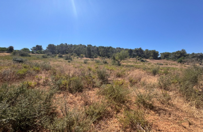 Imagen 2 Solar Rústico en venta en Felanitx / Terreno con proyecto básico para unifamiliar aisalada.