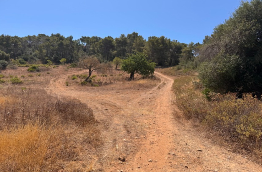 Imagen 8 Solar Rústico en venta en Felanitx / Terreno con proyecto básico para unifamiliar aisalada.