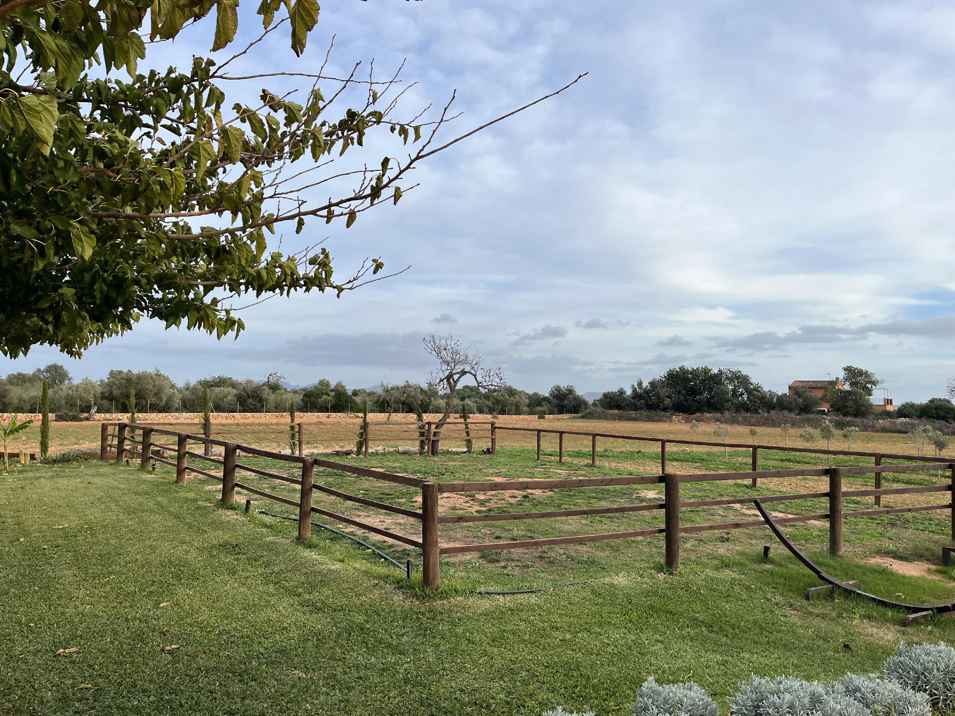 Imagen 23 Casa en venta en Campos / Casa en venta en Porto Petro, Campos