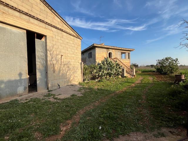 Imagen 6 Casa Rústica en venta en Manacor / Casa de campo a 2kmtros de Porto Cristo