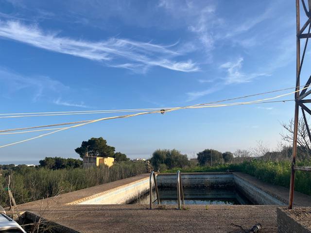 Imagen 10 Casa Rústica en venta en Manacor / Casa de campo a 2kmtros de Porto Cristo