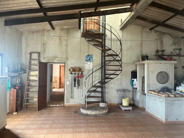 Imagen 12 Casa Rústica en venta en Manacor / Casa de campo a 2kmtros de Porto Cristo