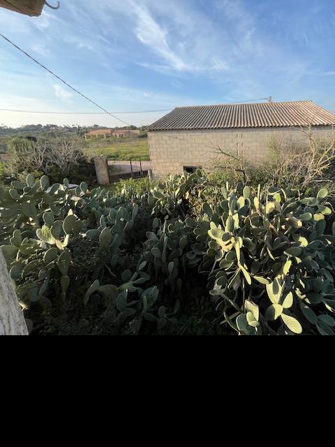 Imagen 27 Casa Rústica en venta en Manacor / Casa de campo a 2kmtros de Porto Cristo