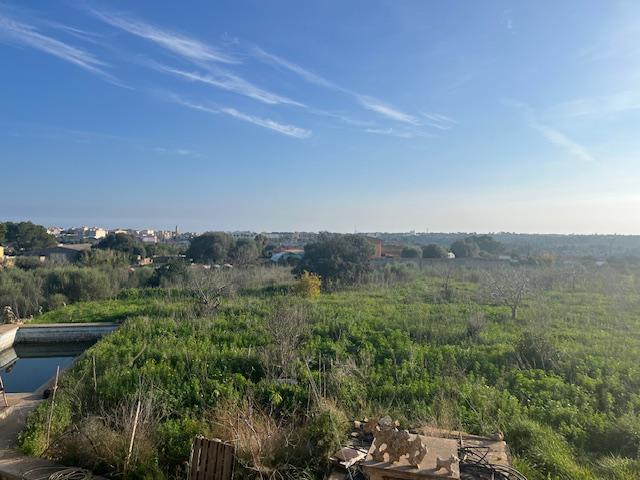 Imagen 33 Inmueble 299193 - Casa Rústica en venta en Manacor / Casa de campo a 2kmtros de Porto Cristo