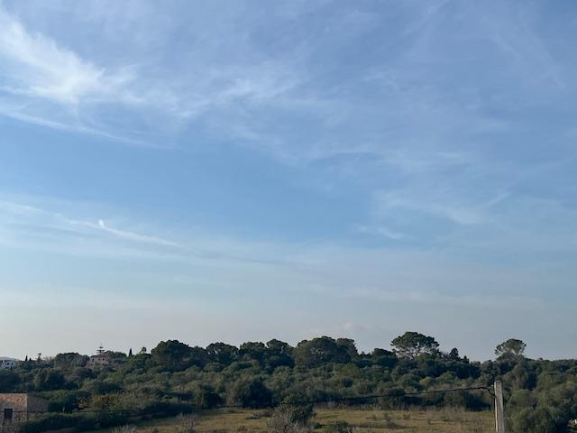 Imagen 34 Casa Rústica en venta en Manacor / Casa de campo a 2kmtros de Porto Cristo