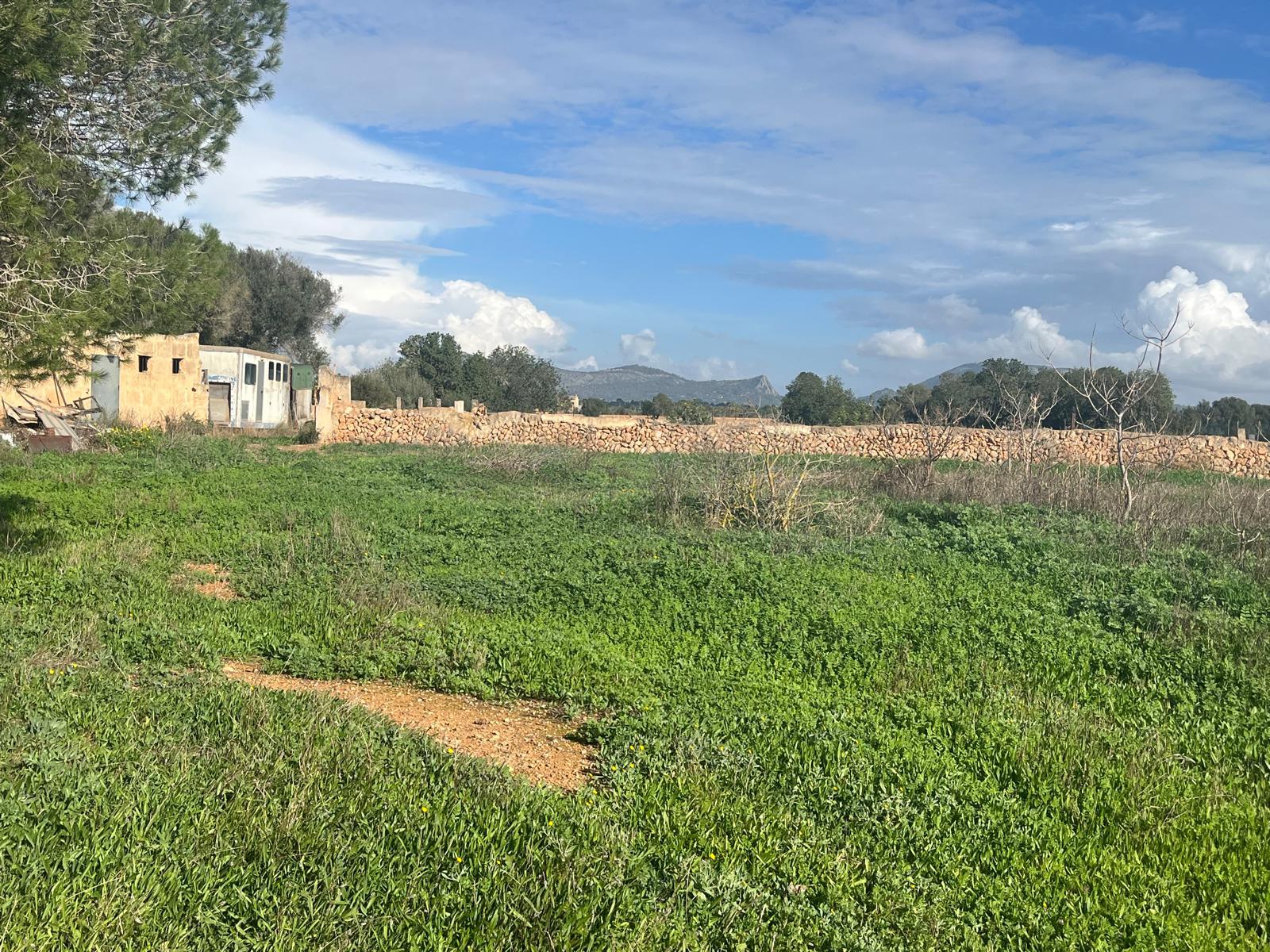 Imagen 3 Casa Rústica en venta en Llucmajor / Finca con antigua cuadra ecuestre +vivienda residencial 