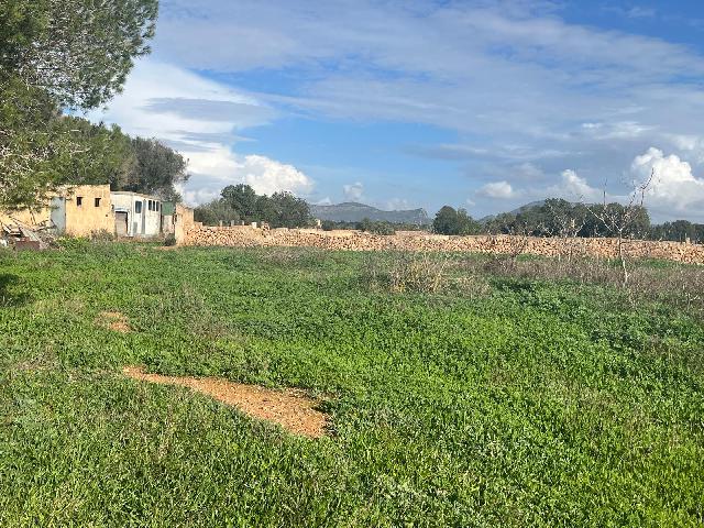 Imagen 3 Inmueble 299398 - Casa Rústica en venta en Llucmajor / Finca con antigua cuadra ecuestre +vivienda residencial 