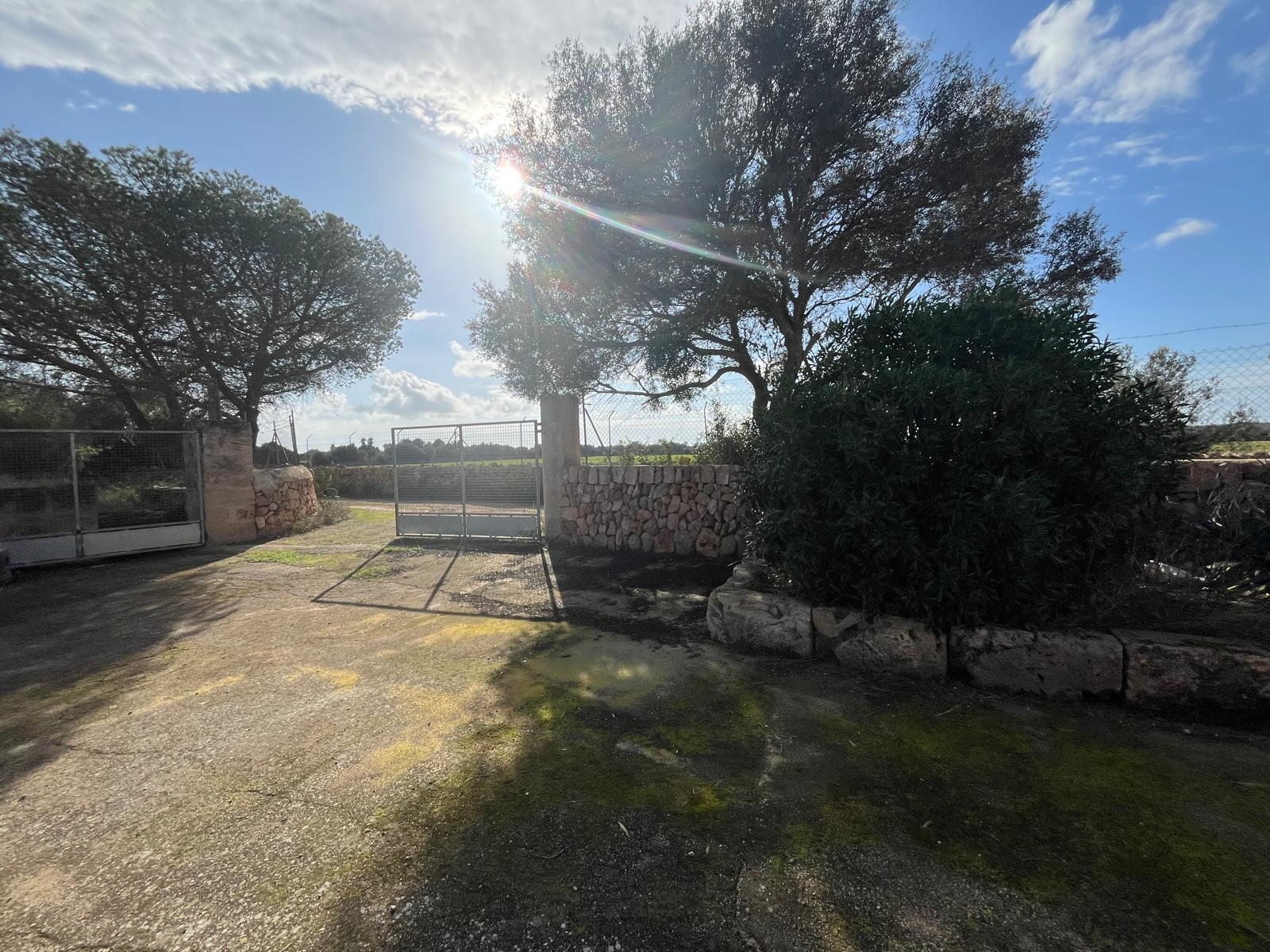 Imagen 15 Casa Rústica en venta en Llucmajor / Finca con antigua cuadra ecuestre +vivienda residencial 