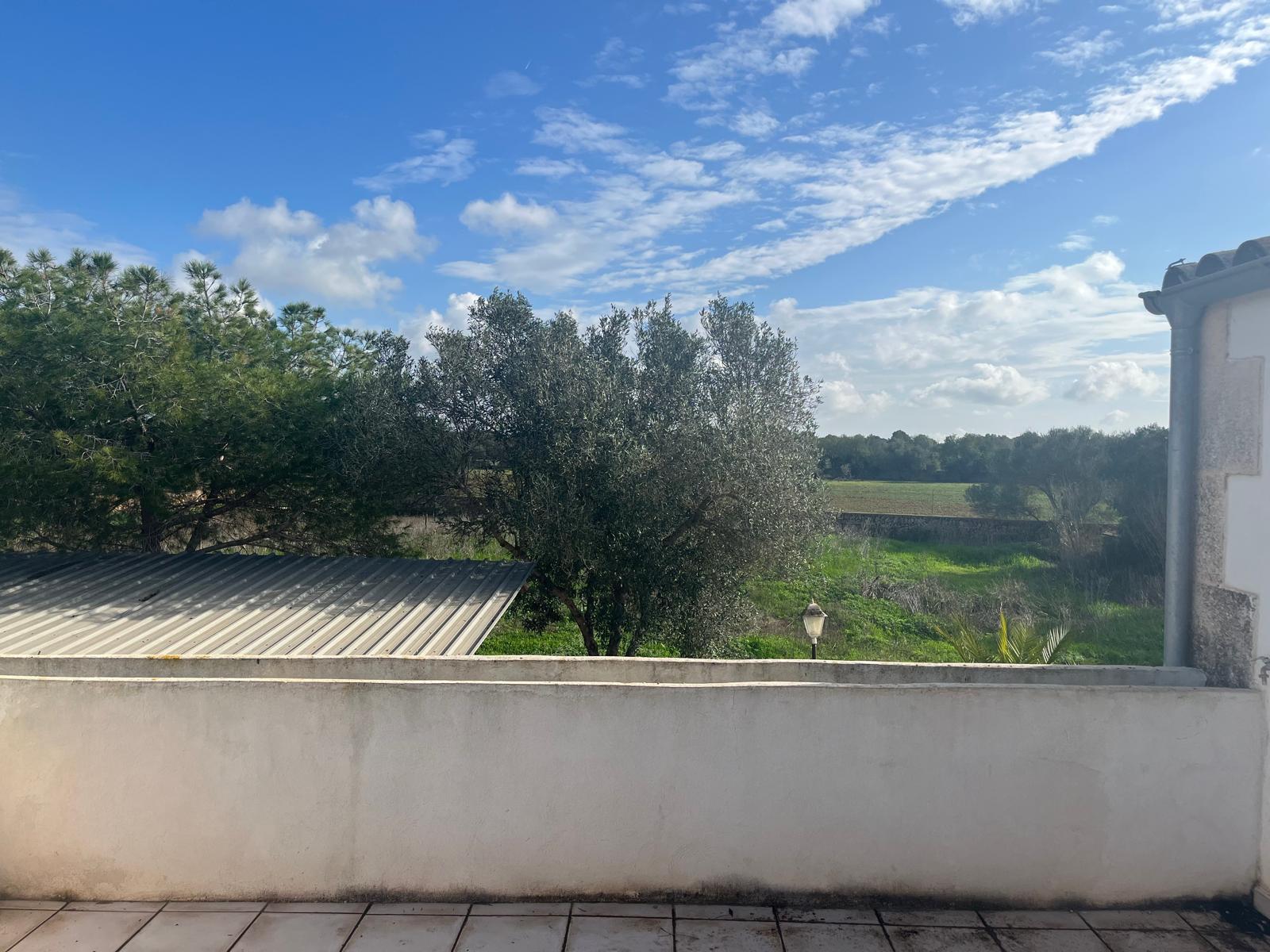 Imagen 17 Casa Rústica en venta en Llucmajor / Finca con antigua cuadra ecuestre +vivienda residencial 