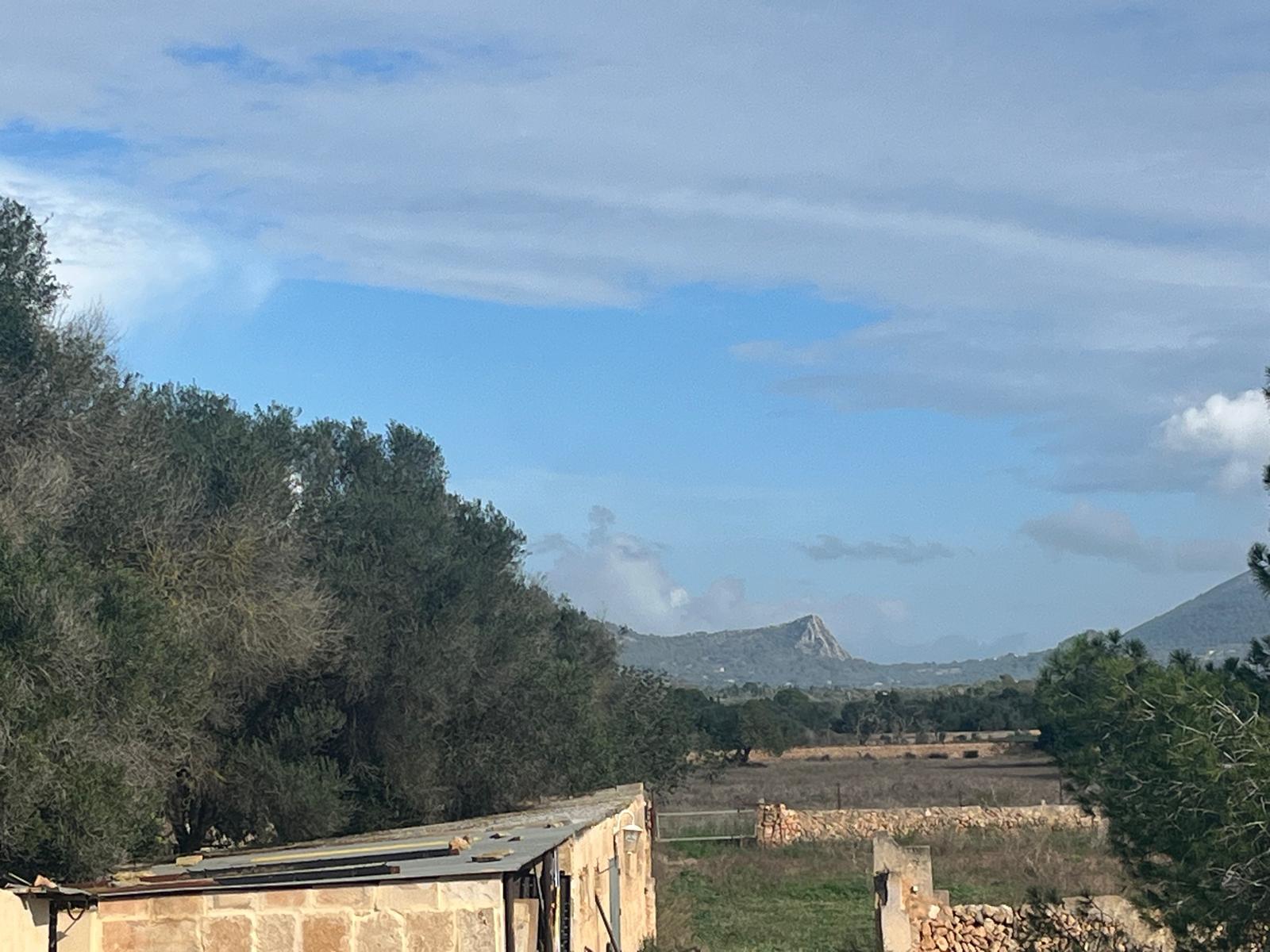 Imagen 19 Casa Rústica en venta en Llucmajor / Finca con antigua cuadra ecuestre +vivienda residencial 