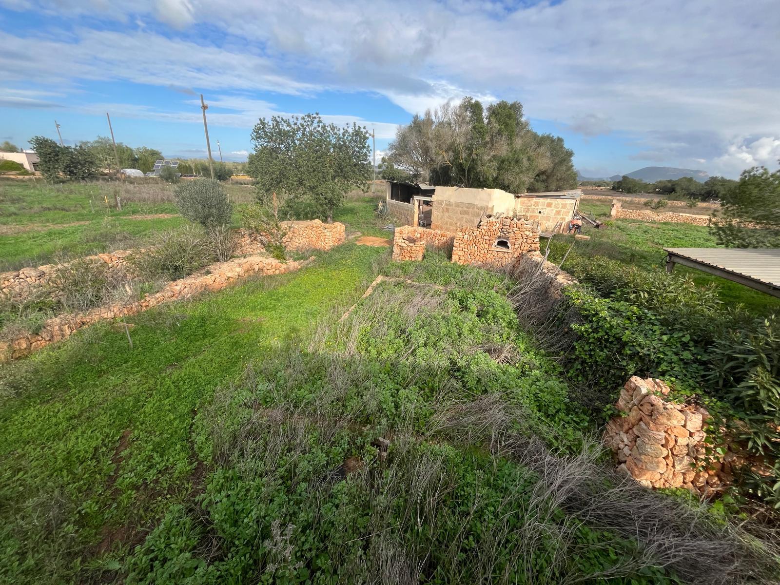 Imagen 20 Casa Rústica en venta en Llucmajor / Finca con antigua cuadra ecuestre +vivienda residencial 