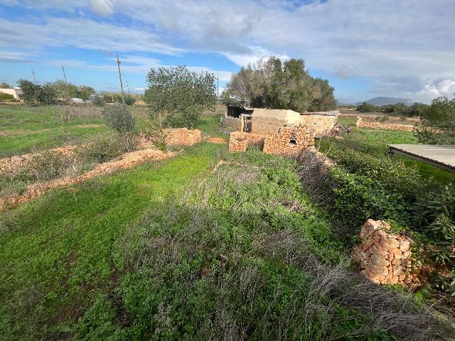 Imagen 20 Inmueble 299398 - Casa Rústica en venta en Llucmajor / Finca con antigua cuadra ecuestre +vivienda residencial 