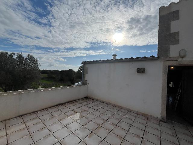 Imagen 21 Inmueble 299398 - Casa Rústica en venta en Llucmajor / Finca con antigua cuadra ecuestre +vivienda residencial 