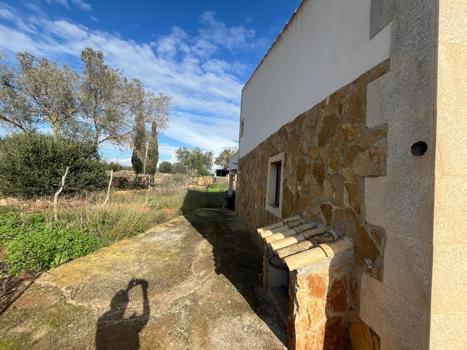 Imagen 27 Casa Rústica en venta en Llucmajor / Finca con antigua cuadra ecuestre +vivienda residencial 