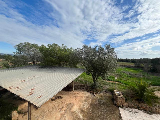 Imagen 31 Inmueble 299398 - Casa Rústica en venta en Llucmajor / Finca con antigua cuadra ecuestre +vivienda residencial 