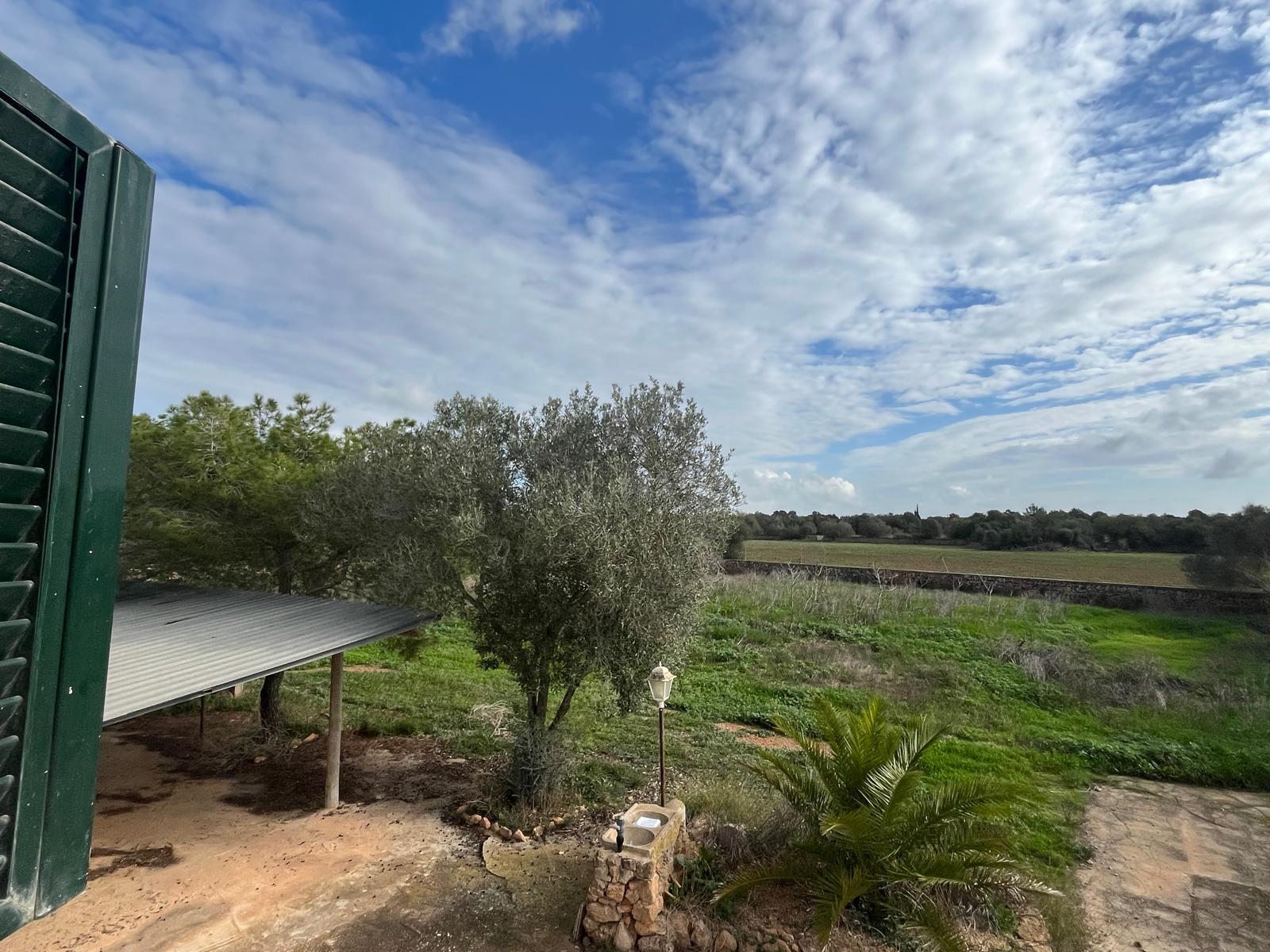 Imagen 34 Casa Rústica en venta en Llucmajor / Finca con antigua cuadra ecuestre +vivienda residencial 