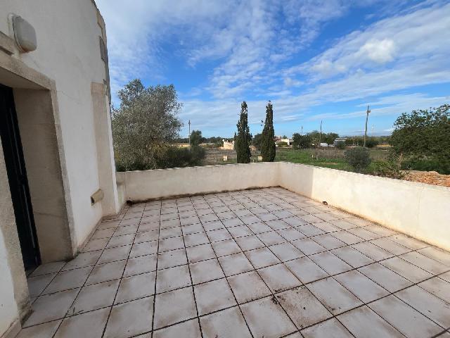 Imagen 22 Inmueble 299398 - Casa Rústica en venta en Llucmajor / Finca con antigua cuadra ecuestre +vivienda residencial 