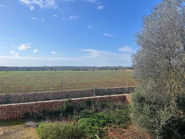 Imagen 36 Inmueble 299398 - Casa Rústica en venta en Llucmajor / Finca con antigua cuadra ecuestre +vivienda residencial 