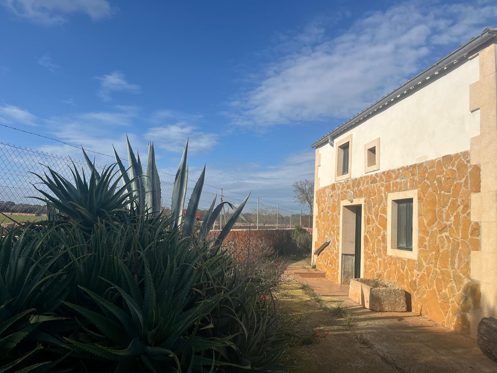 Imagen 32 Casa Rústica en venta en Llucmajor / Finca con antigua cuadra ecuestre +vivienda residencial 