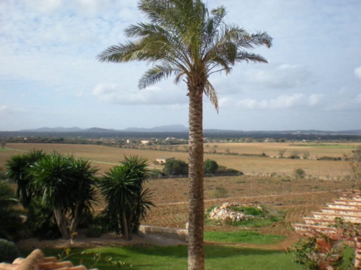 Imagen 5 Casa Rústica en venta en Manacor / Casa rústica cerca de Albocasser - Manacor ? Petra