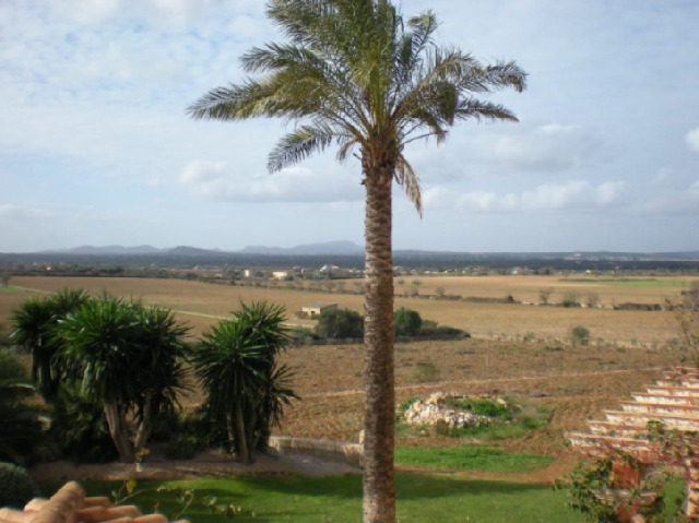 Imagen 5 Inmueble 299705 - Casa Rústica en venta en Manacor / Casa rústica cerca de Albocasser - Manacor ? Petra