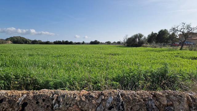 Imagen 3 Inmueble 300110 - Solar Rústico en venta en Campos / Crta Vieja de Sa Ràpita - Campos