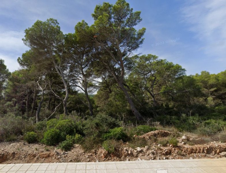 Imagen 2 Solar Urbano en venta en Ciutadella De Menorca / Lote de suelo urbano directo en Son Parc ...