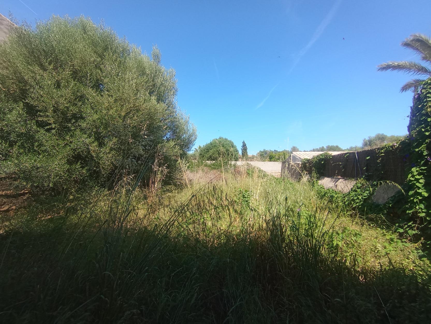 Imagen 1 Solar Urbano en venta en Santanyí / Solar Urbano en Llombars pueblo