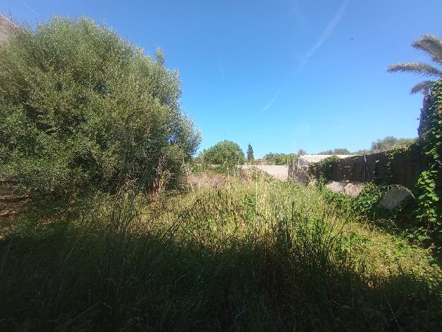 Imagen 1 Inmueble 303389 - Solar Urbano en venta en Santanyí / Solar Urbano en Llombars pueblo