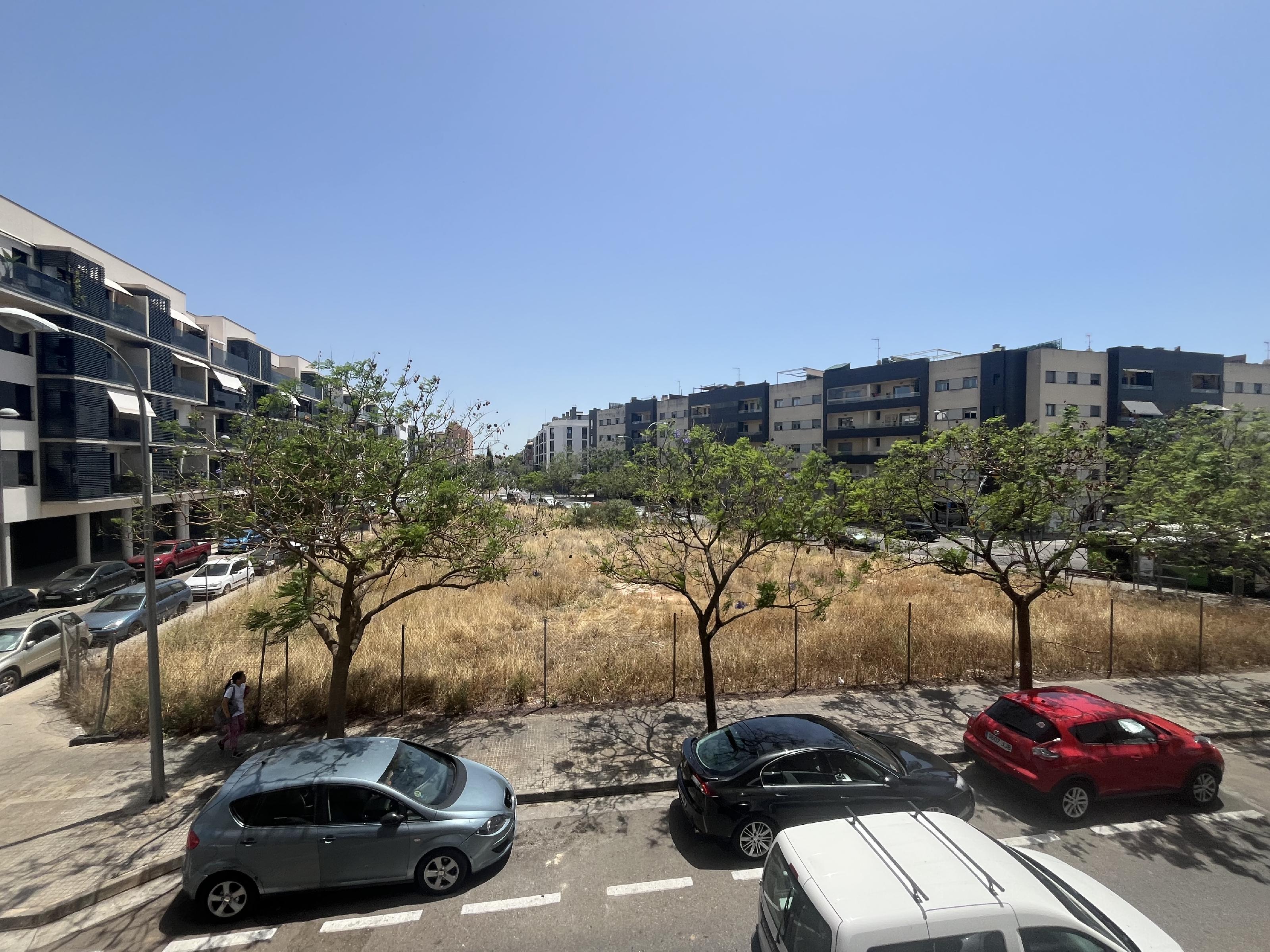 Imagen 19 Piso en venta en Palma / PIso en Av de Mexico, Levant .Proximo Palacio Congresos