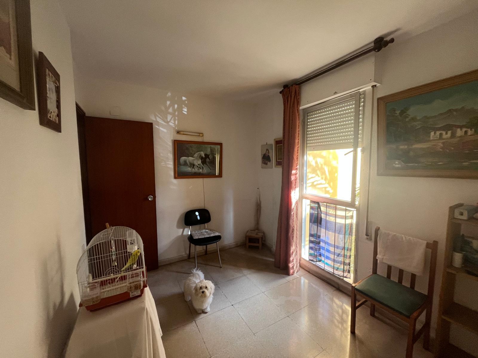 Imagen 3 Piso en venta en Palma / Junto Palacio de Congresos