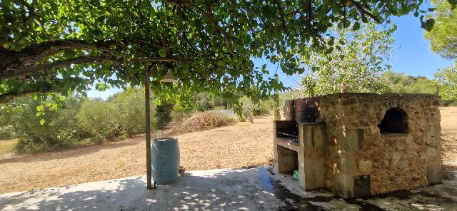 Imagen 9 Inmueble 307096 - Casa Rústica en venta en Manacor / Finca con encanto a pocos minutos de Manacor