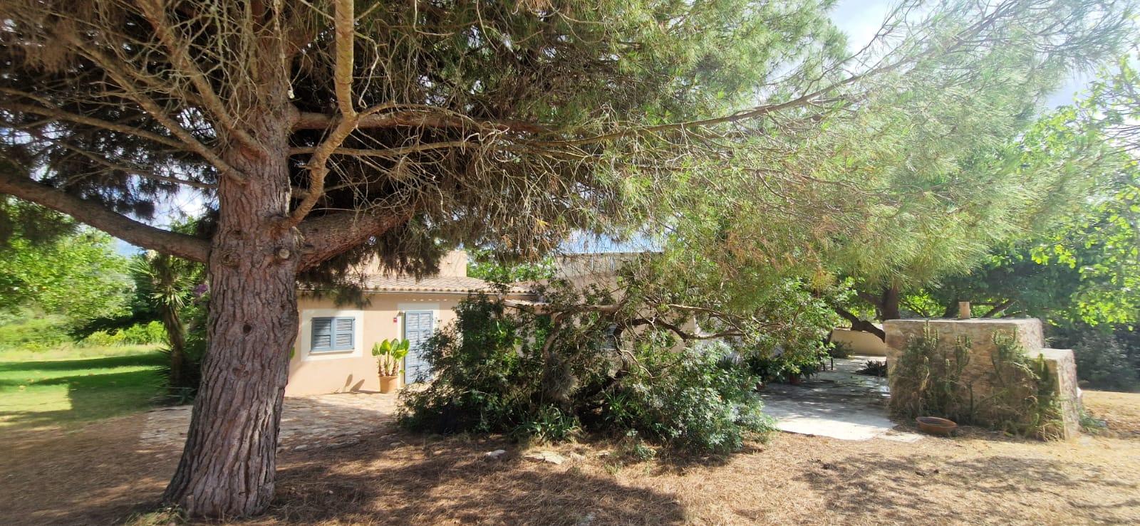 Imagen 12 Casa Rústica en venta en Manacor / Finca con encanto a pocos minutos de Manacor