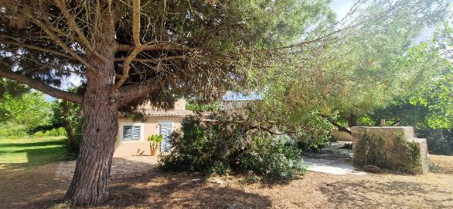 Imagen 12 Inmueble 307096 - Casa Rústica en venta en Manacor / Finca con encanto a pocos minutos de Manacor