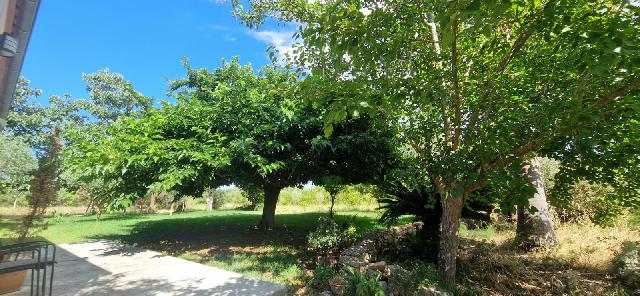 Imagen 11 Inmueble 307096 - Casa Rústica en venta en Manacor / Finca con encanto a pocos minutos de Manacor